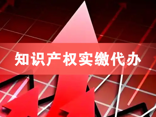 宜宾知识产权实缴资本代办